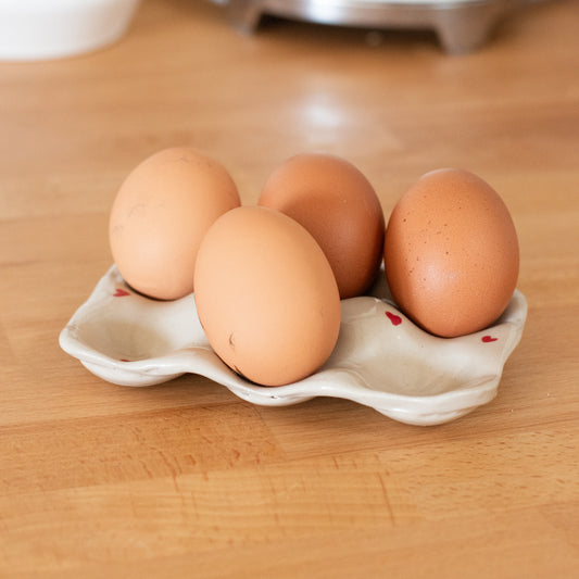 Porte oeufs x6