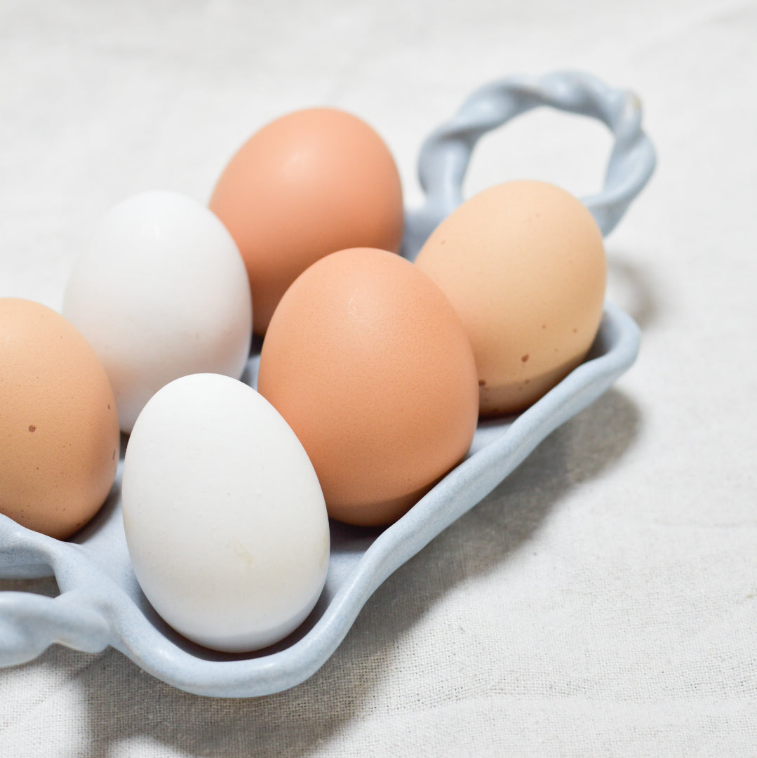 Panier oeufs x6